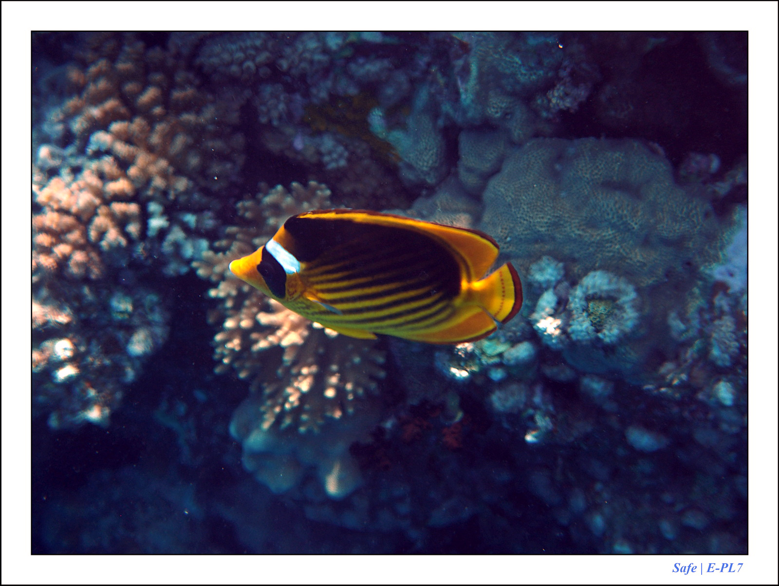 Hurghada - Juillet 2021 - 042